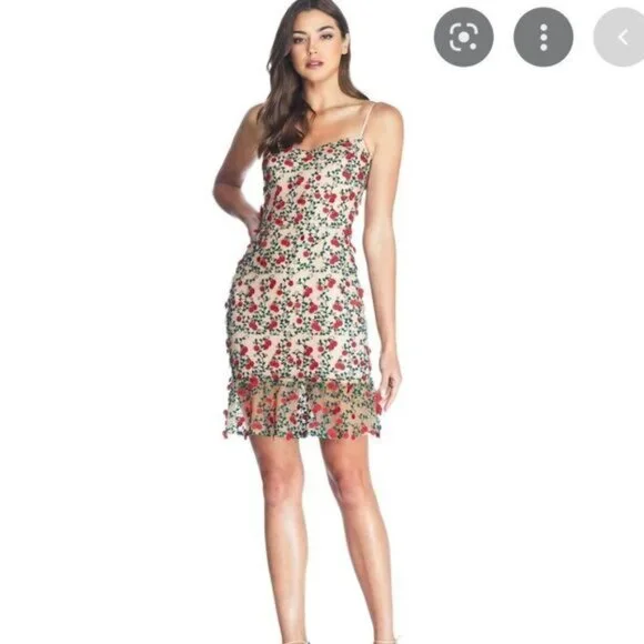 Dress the Population Kaya dress Cherry Embroidered Mini Dress Rouge Flutter Hem - Picture 4 of 12